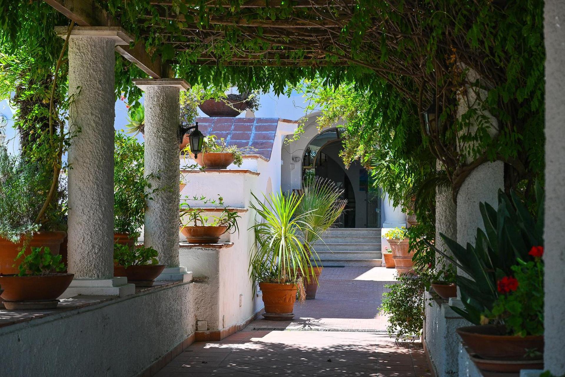 Av Club Terme Colella Hotel Forio  Exterior photo